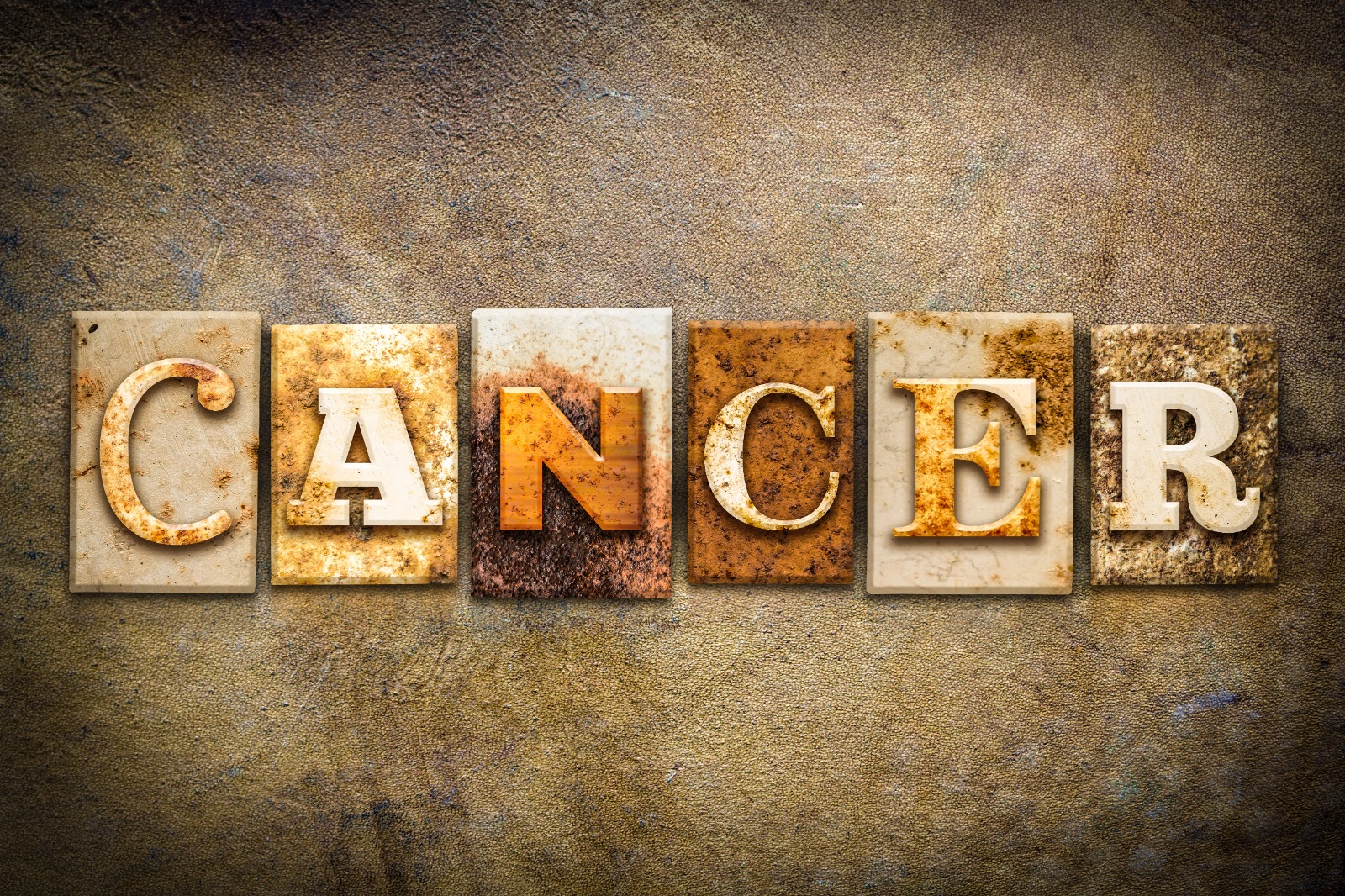 Home whatsapp image 2025 12 01 at 08.35.00 (4)