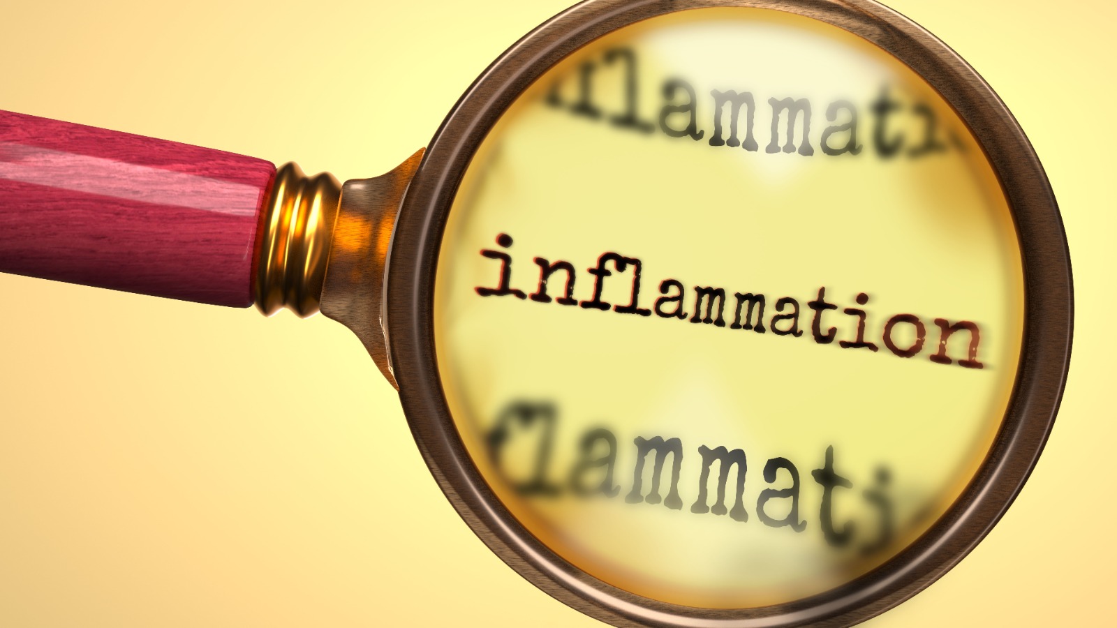 Home whatsapp image 2025 12 01 at 08.35.01