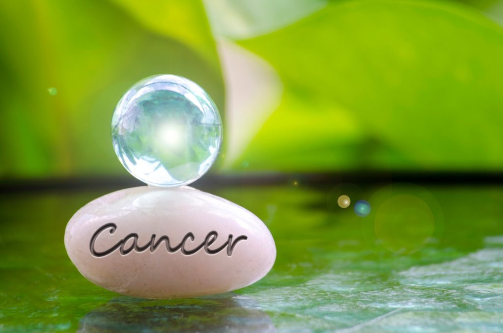 whatsapp image 2025 12 05 at 08.14.22 (1)