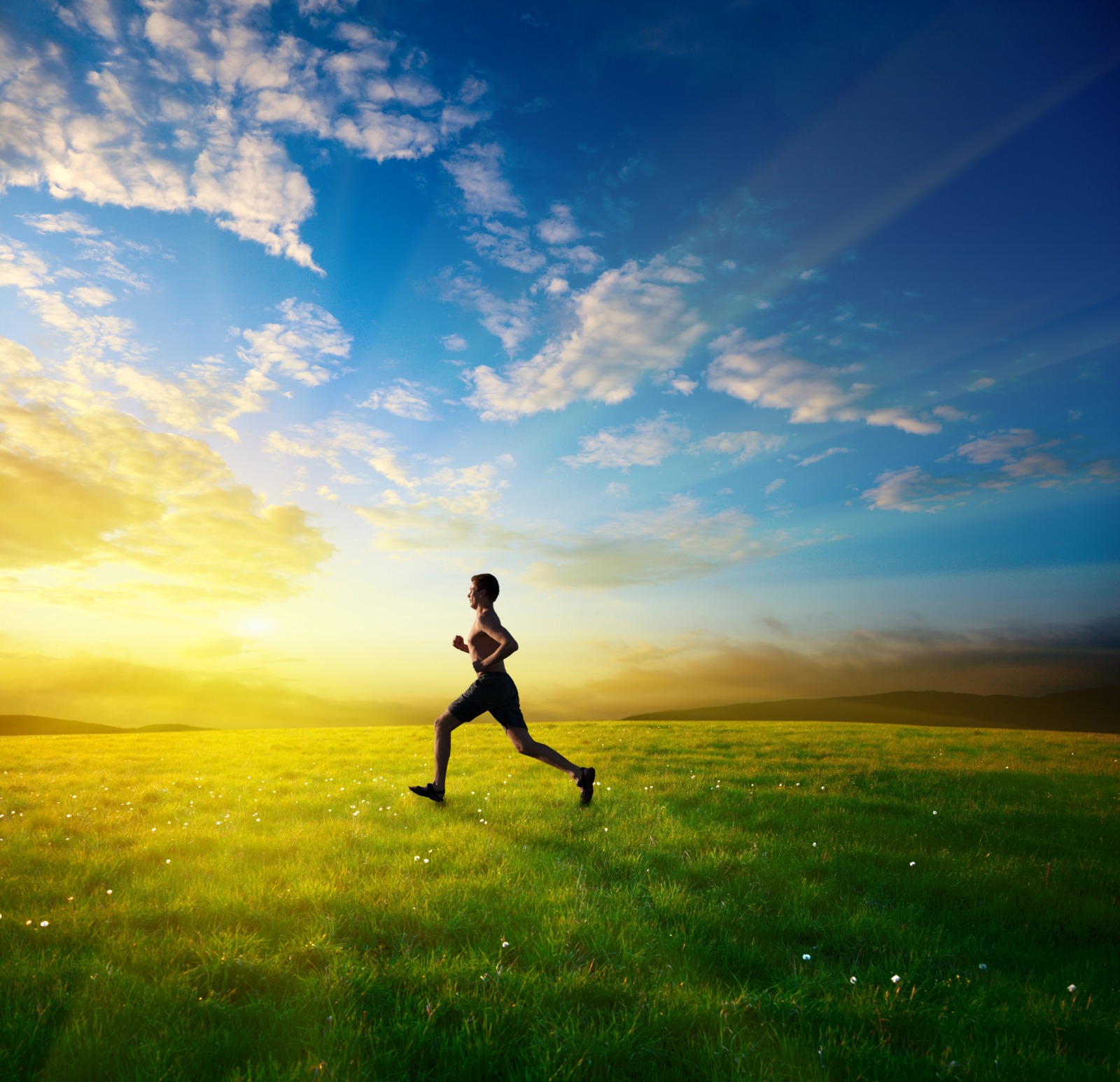 whatsapp image 2025 12 08 at 09.45.07